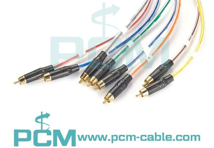 DB25 to 8-channel RCA Snake cable